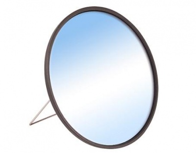 Masterclass Swing Mirror